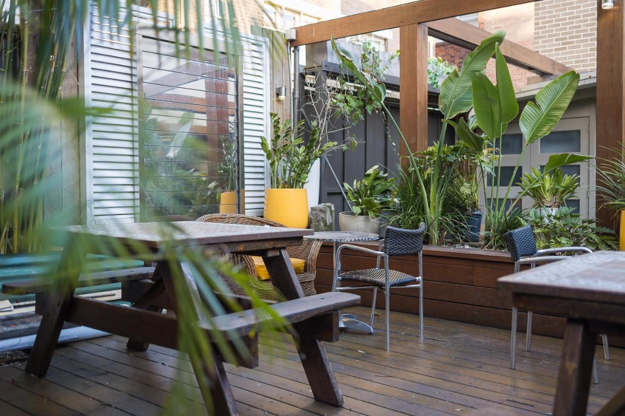 London Plane Backpackers Hostel *