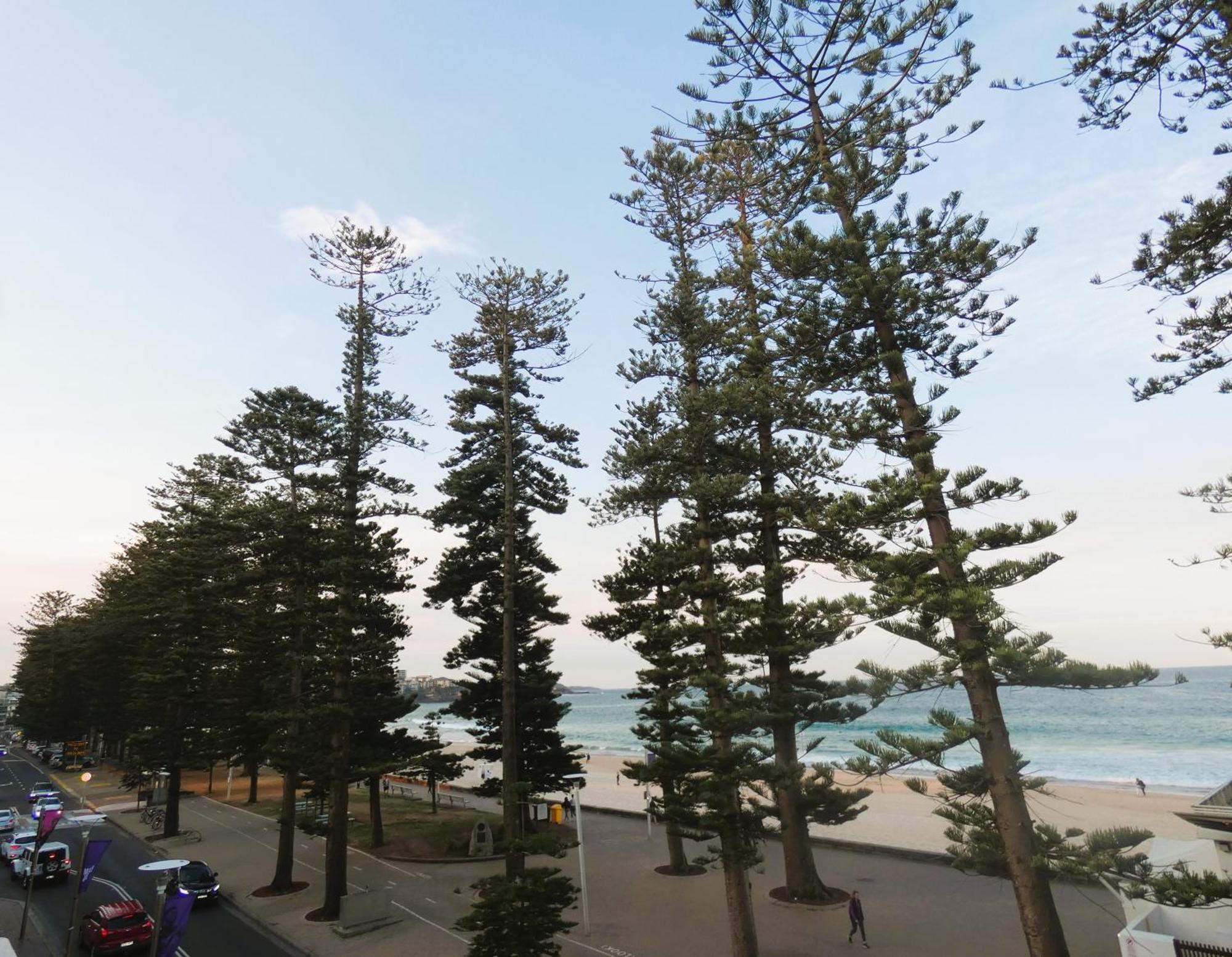 Steyne Sydney