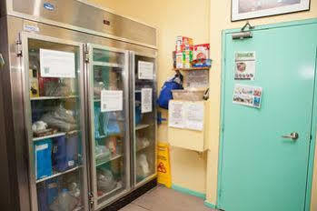 Hotel Evas Backpackers Sydney
