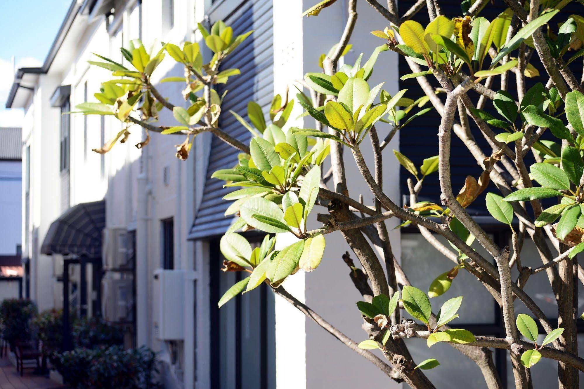 Hotel Avoca Randwick By 3*