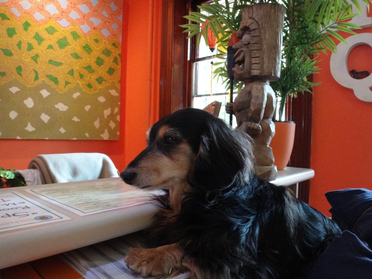 Hostel London Plane Backpackers