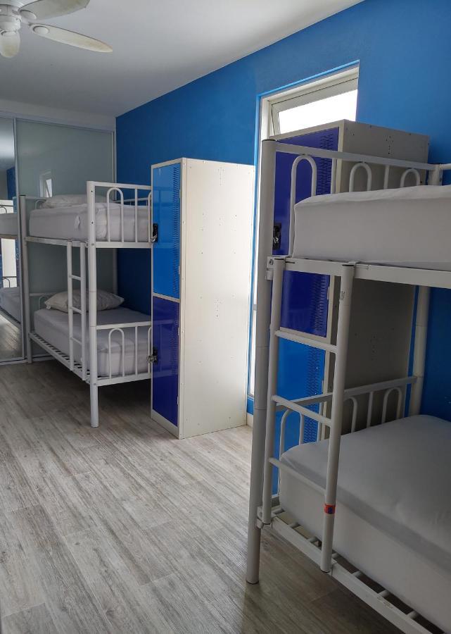 London Plane Backpackers Sydney
