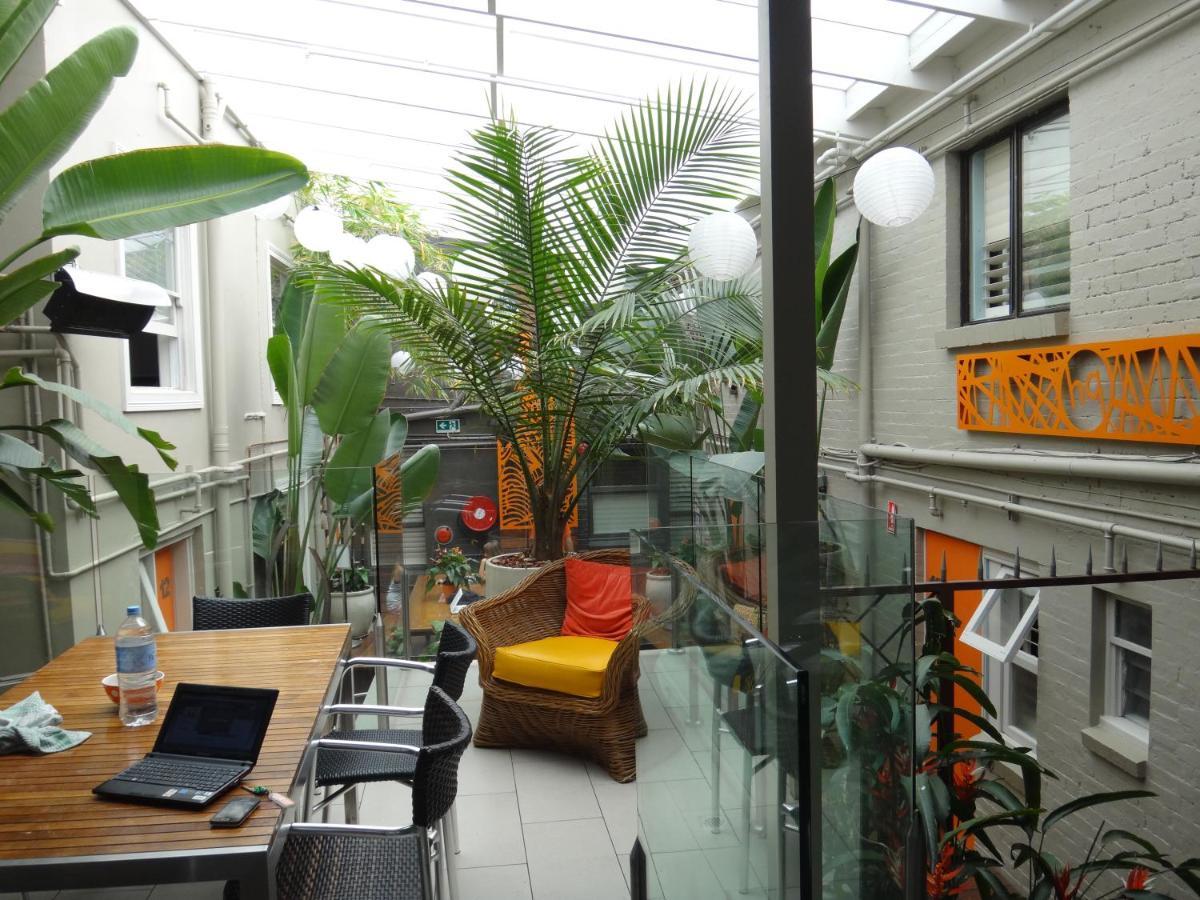 London Plane Backpackers Sydney