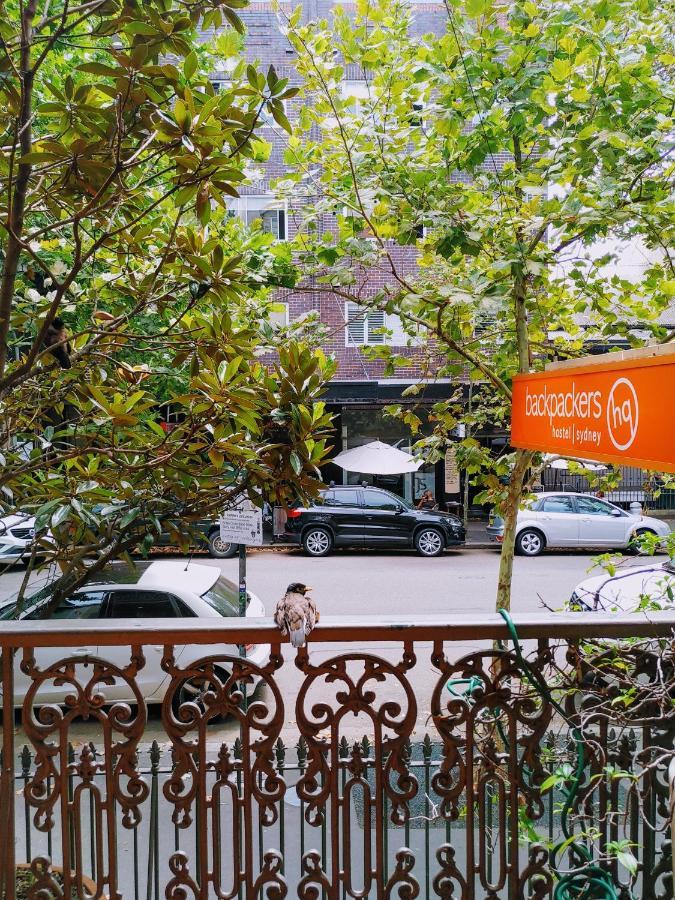 London Plane Backpackers Hostel