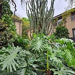 Lovely 1Bed Apartment Sydney Inner West W Parking