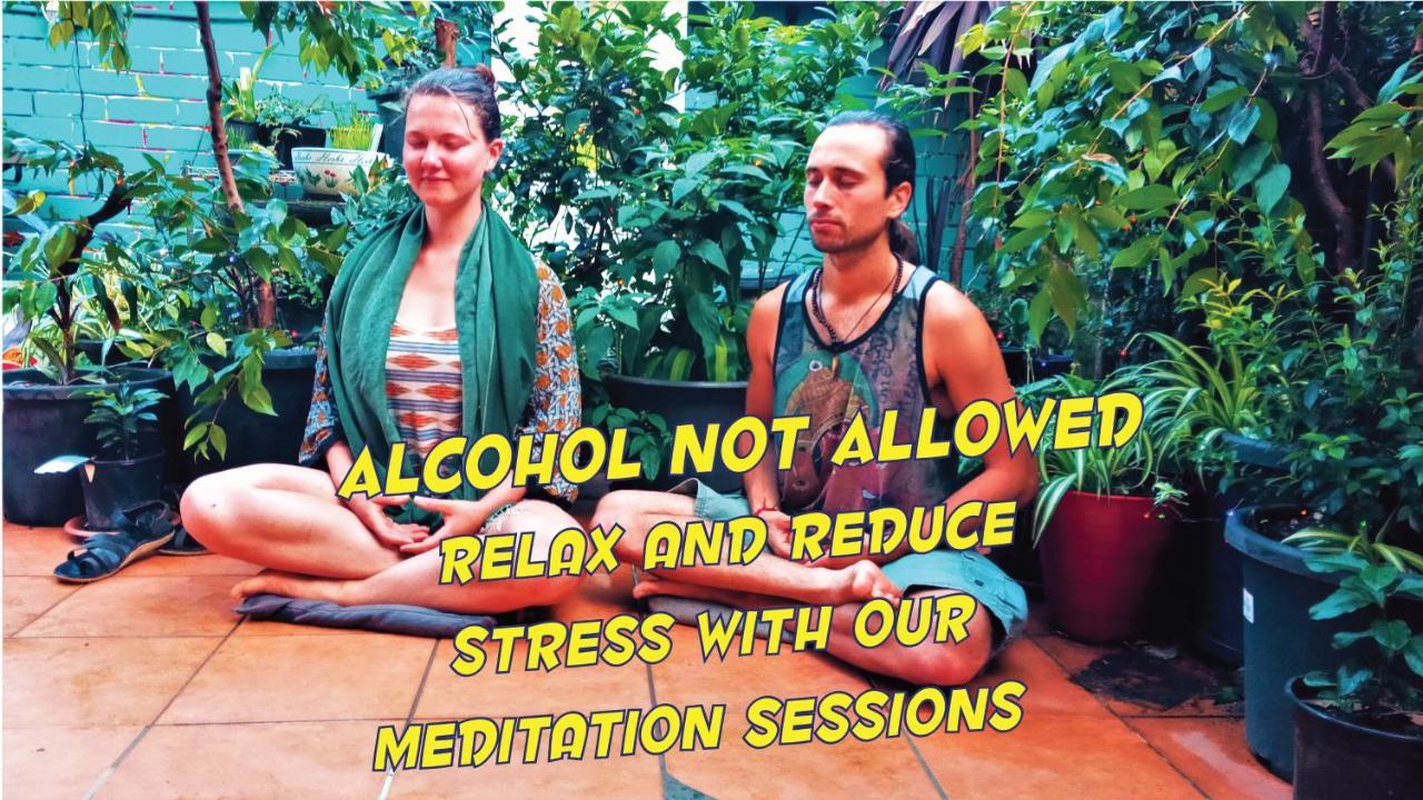 Zen Harmony House Inn
