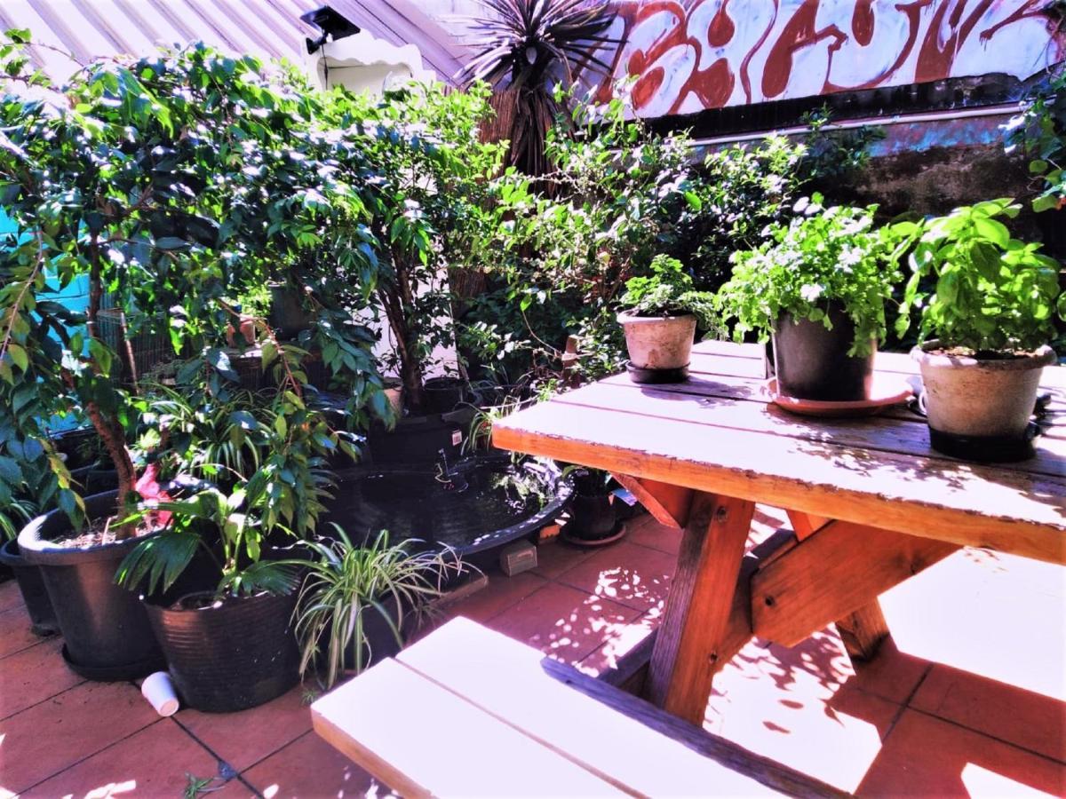 Zen Harmony House