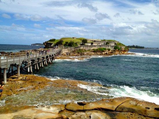 Quiet Private In Kensington Near Unsw, Light Railway&bus 1d Holiday home Sydney