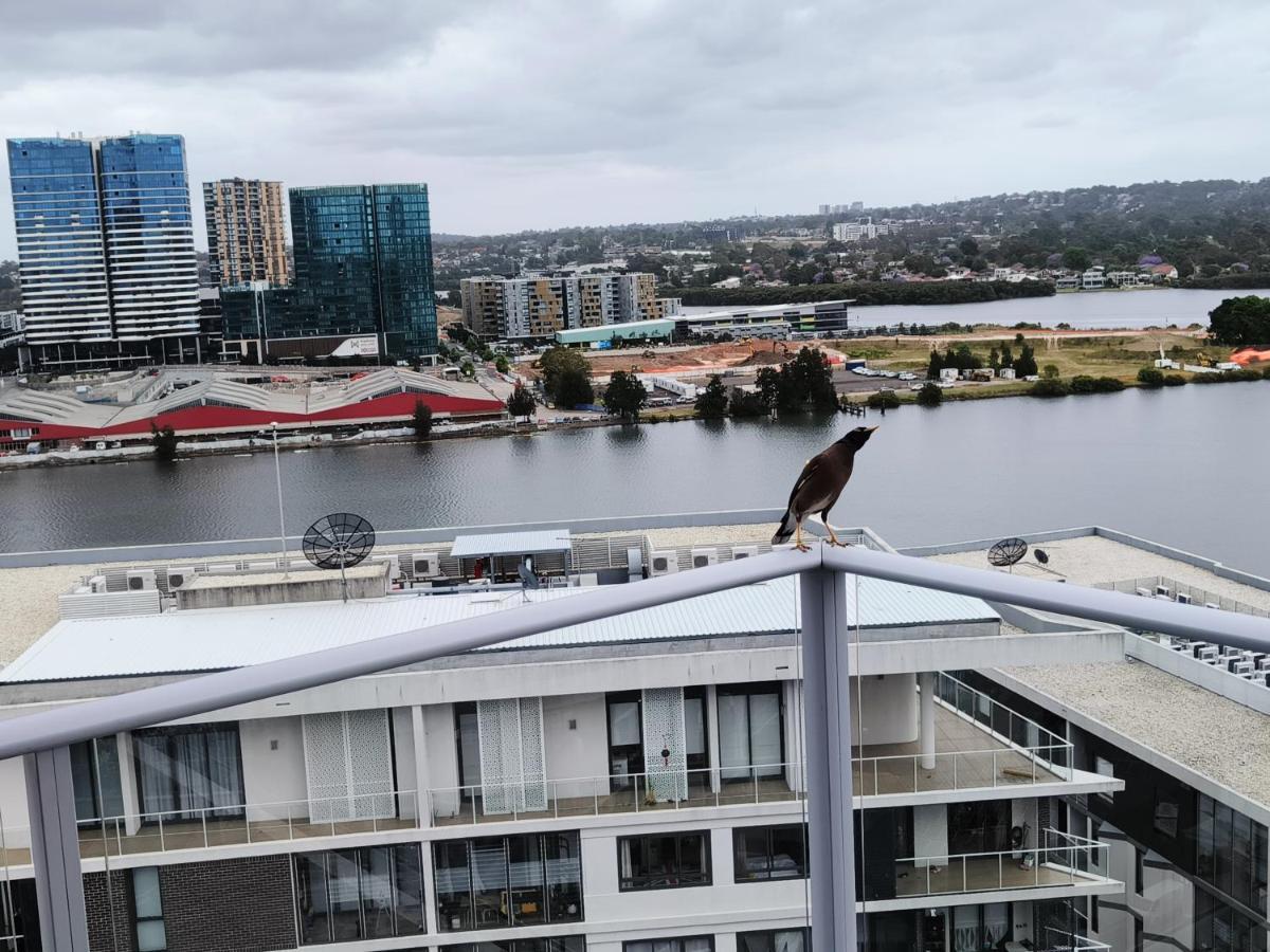 High-level Water View Sydney