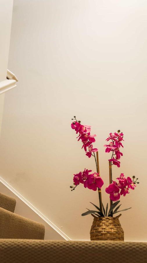 Modern 3bd Townhouse In Marsfield Holiday home Sydney