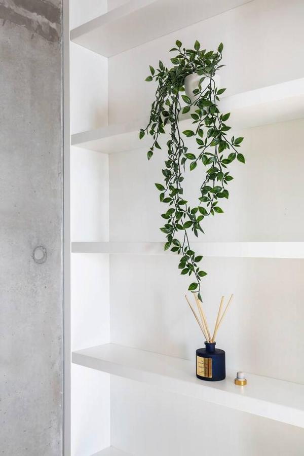 Apartment 'the Fern' Split-level Eco Luxury With Lush Courtyard *