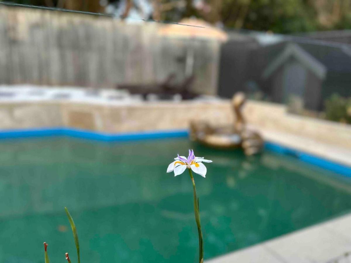 5 Bedroom 3 Bathroom House With Pool, Spa, Voice-control Smart And Game *
