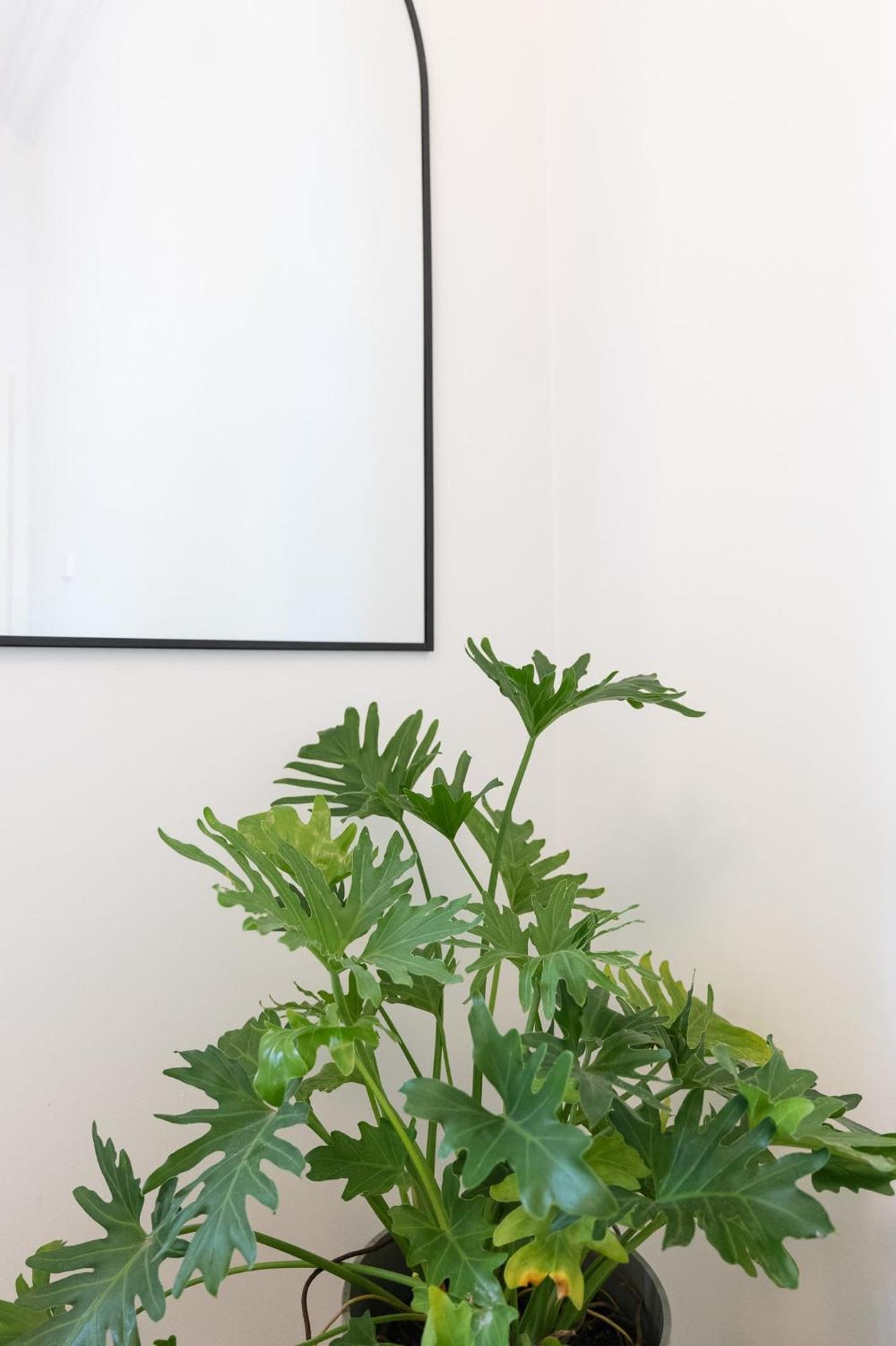 Apartment Surry Hills Chic Right On Crown St *
