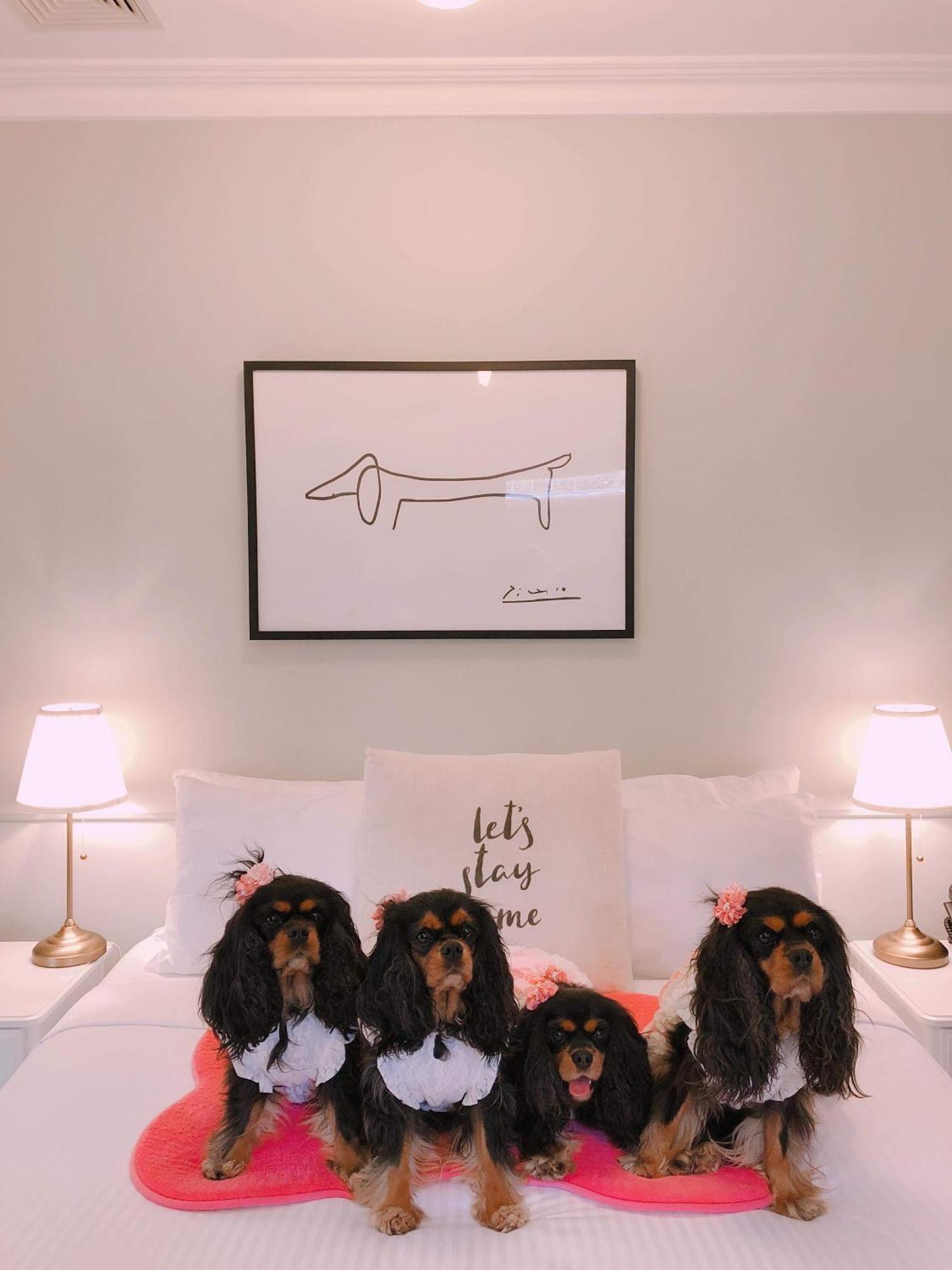 The Hughenden Boutique Hotel Sydney