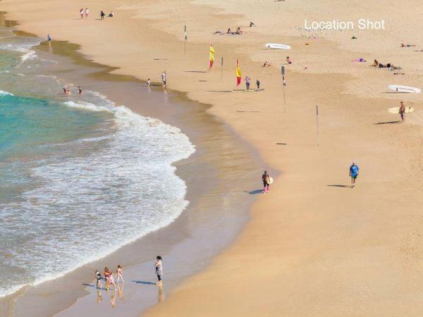 Manly Jungle Oasis * Sydney