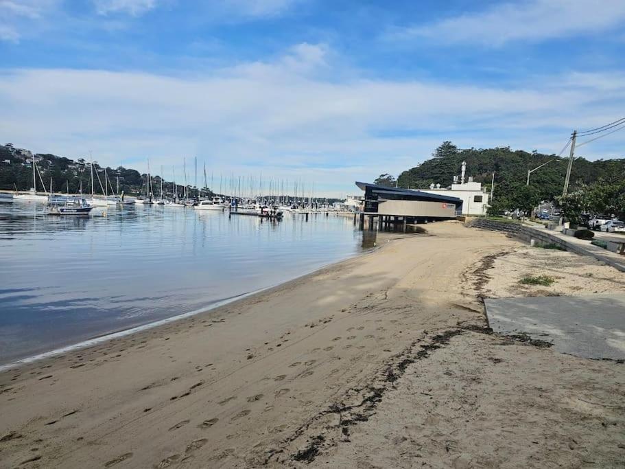 Lovely In Manly Vale Apartment