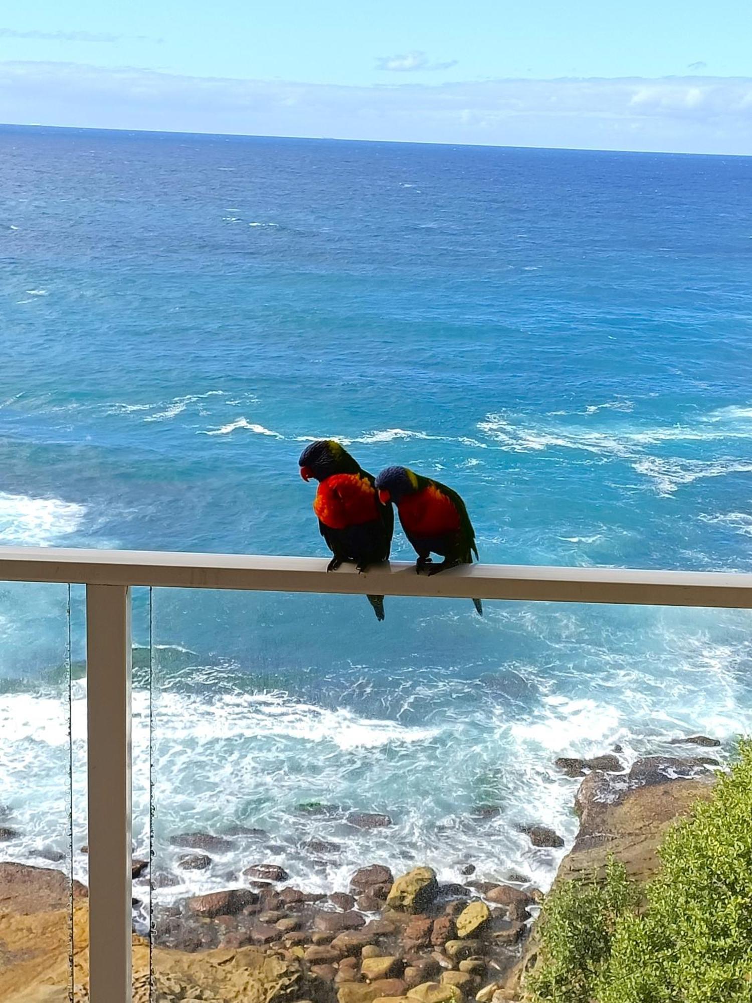 Breathtaking Ocean Views
