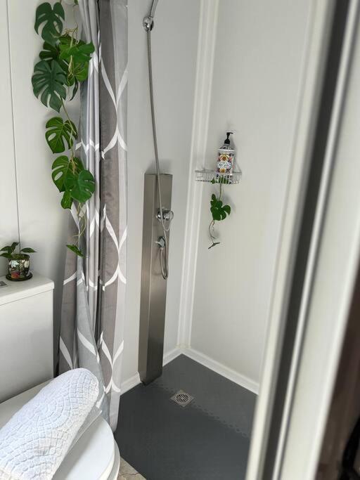 Tiny Serenity! Holiday home