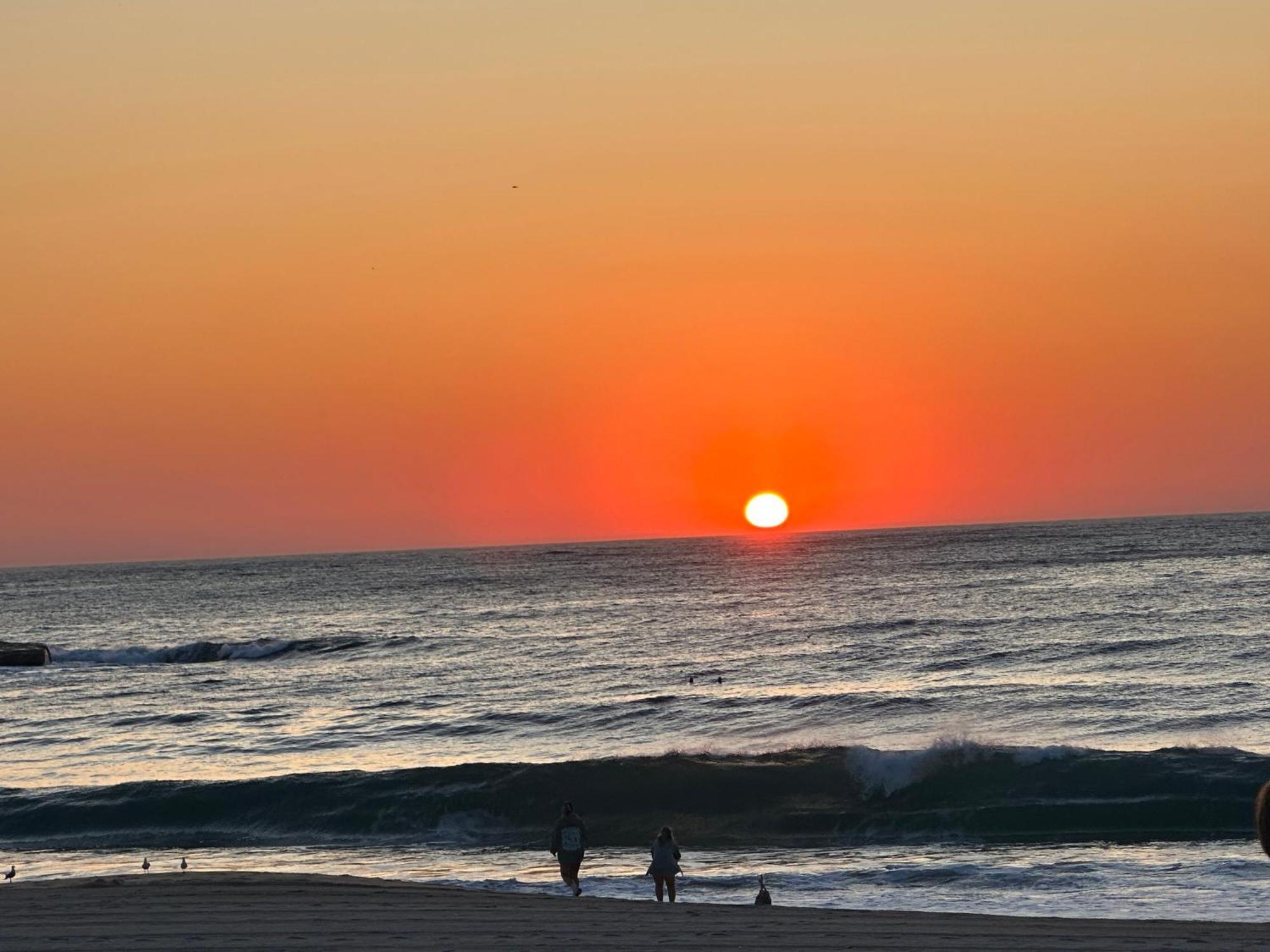 Homestay Coogee Sunrise Shared With Parking, Balcony & Work Desk Sydney