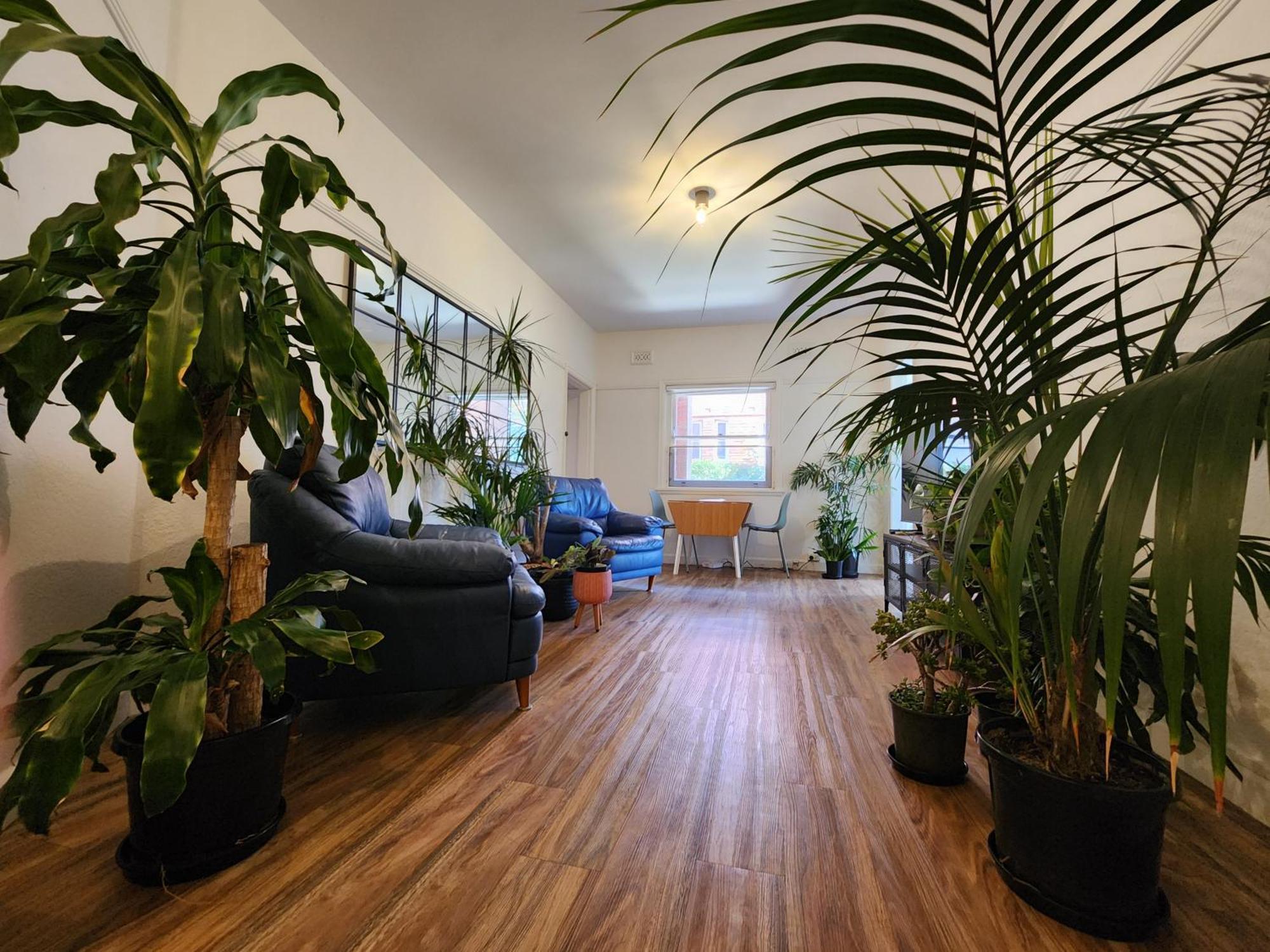 Manly Jungle Oasis Sydney