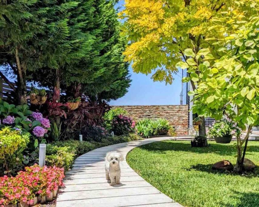 Waterfront Oasis ,panoramic Views, Infinity Pool Holiday home *