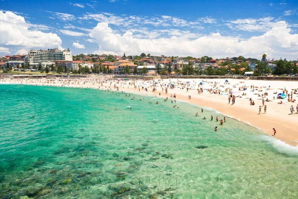 Apartment The Great Escape Coogee