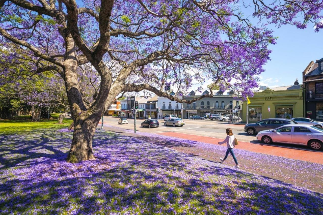Spacious Terrace House Near Cbd * Sydney
