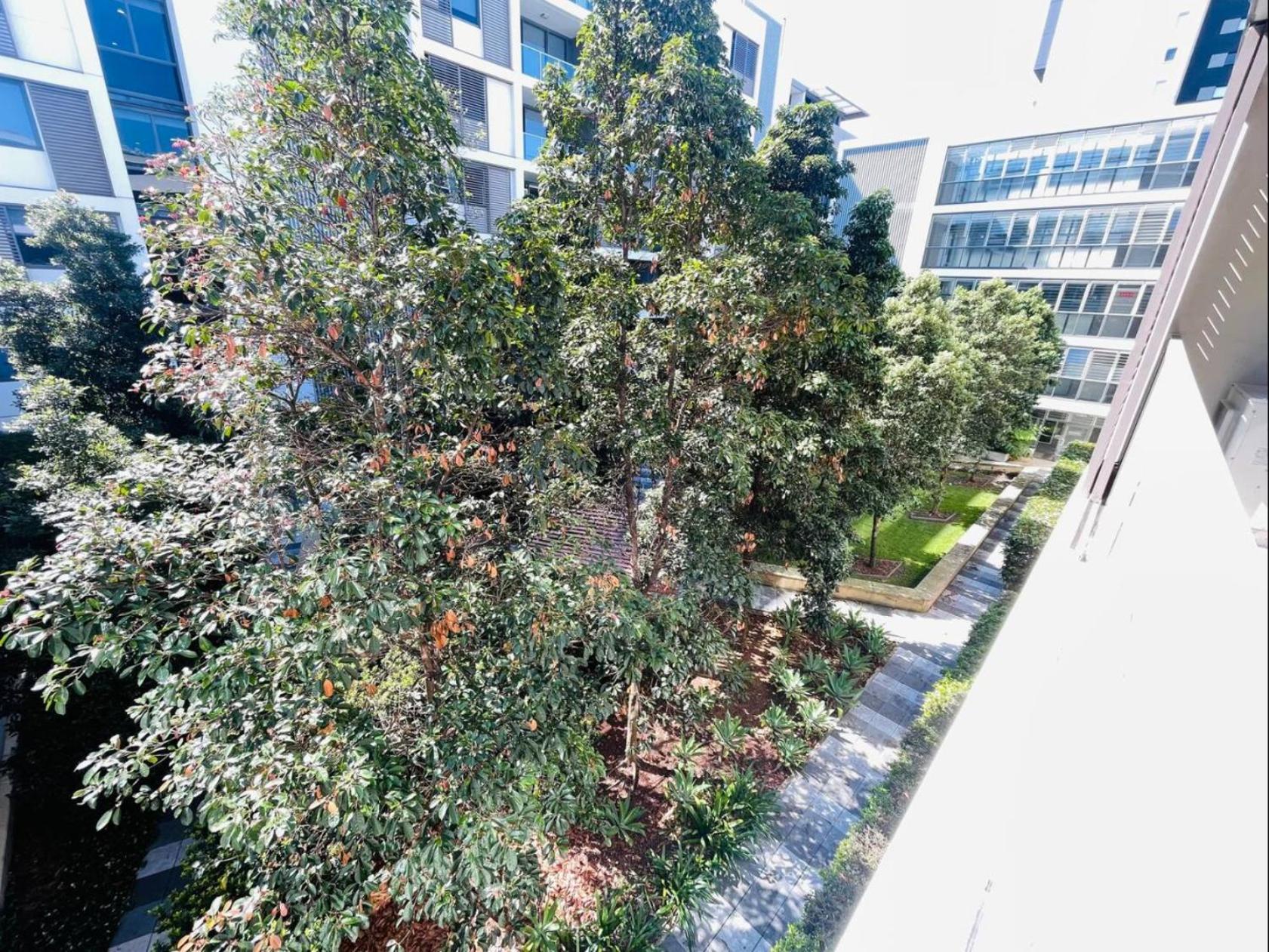 Apartment Cozy Zetland 2 Bedroom With Pool, Gym And Parking Sydney