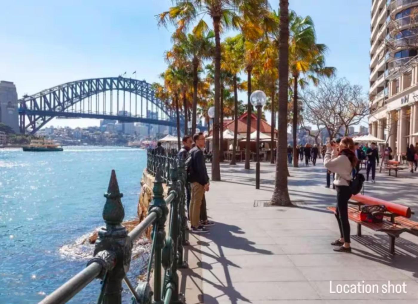Luxurious Only 250m Walk To Opera House Apartment Sydney