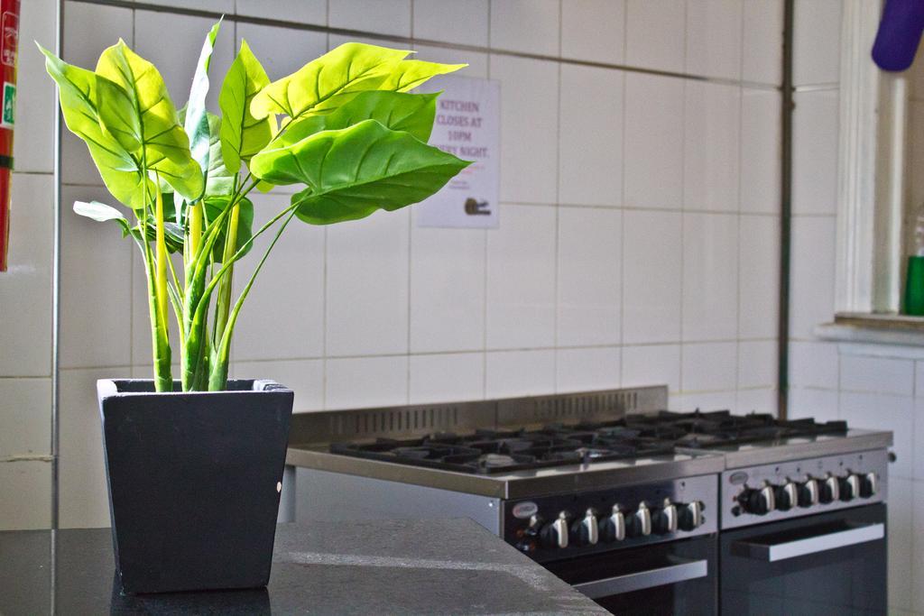 Mad Monkey Kings Cross (adults Only) Hostel Sydney