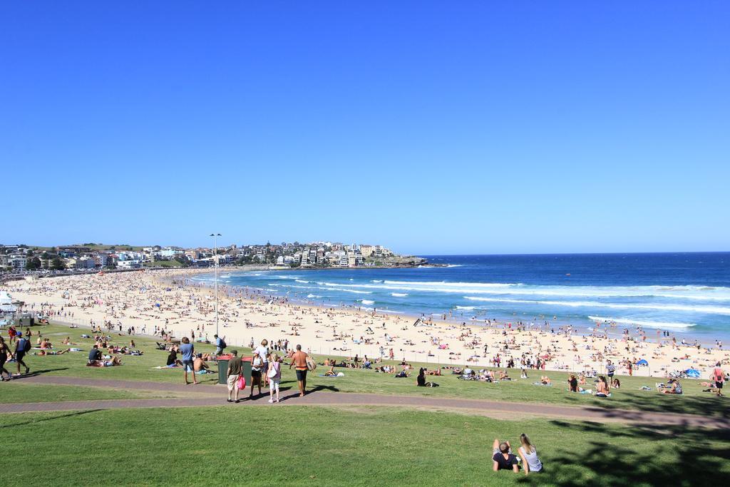 Bondi Oasis Luxury