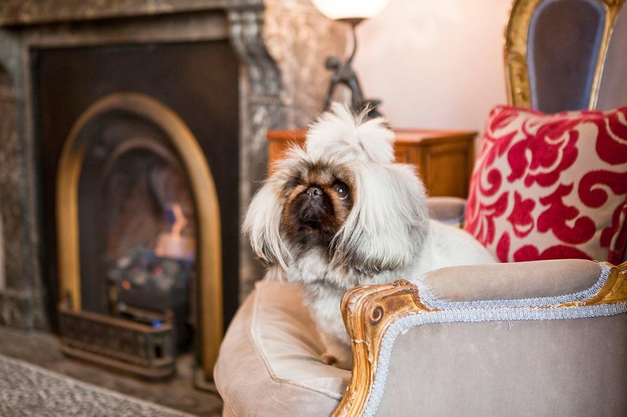 Hotel The Hughenden Boutique Sydney