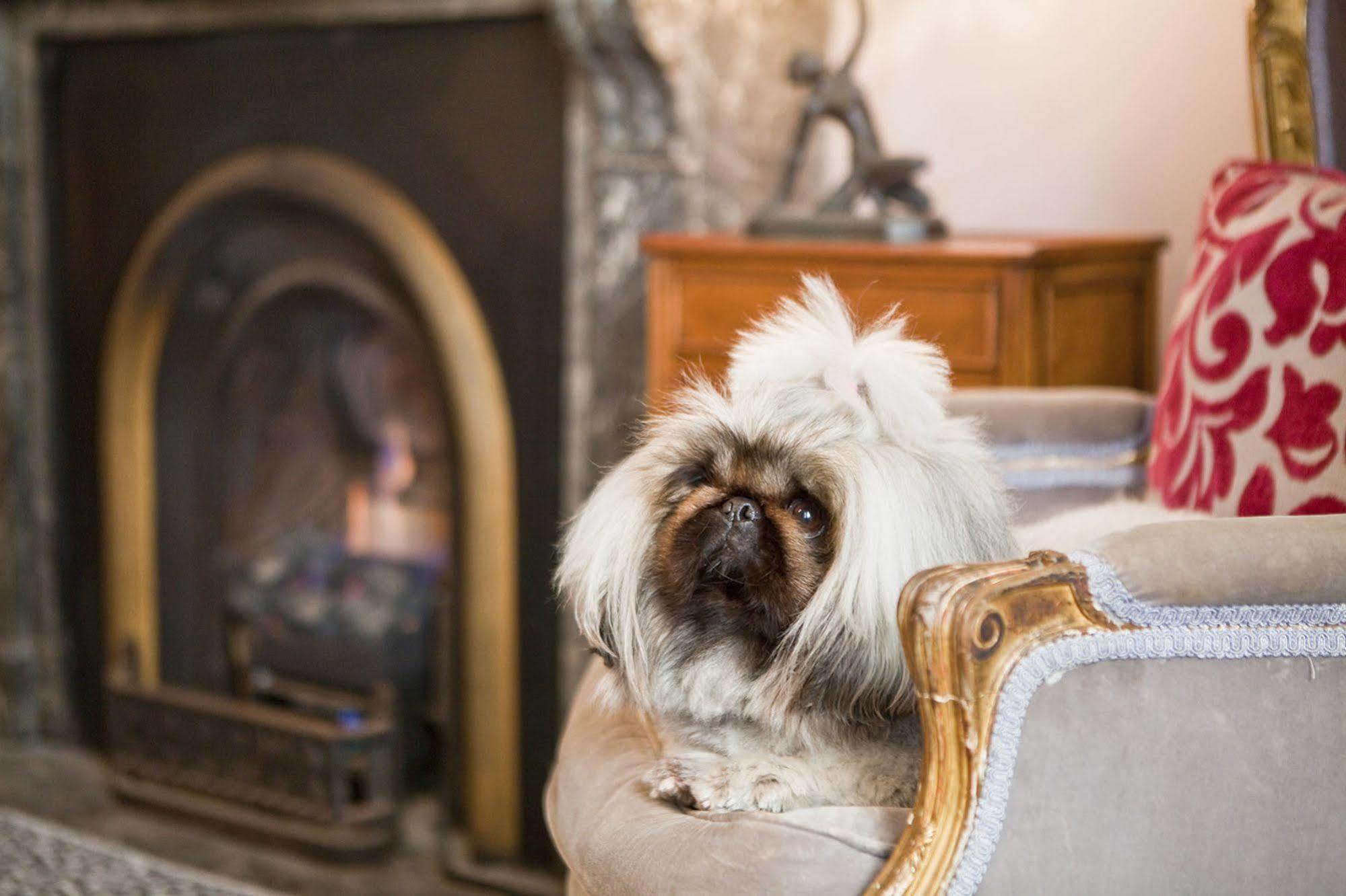 The Hughenden Boutique 4* Sydney