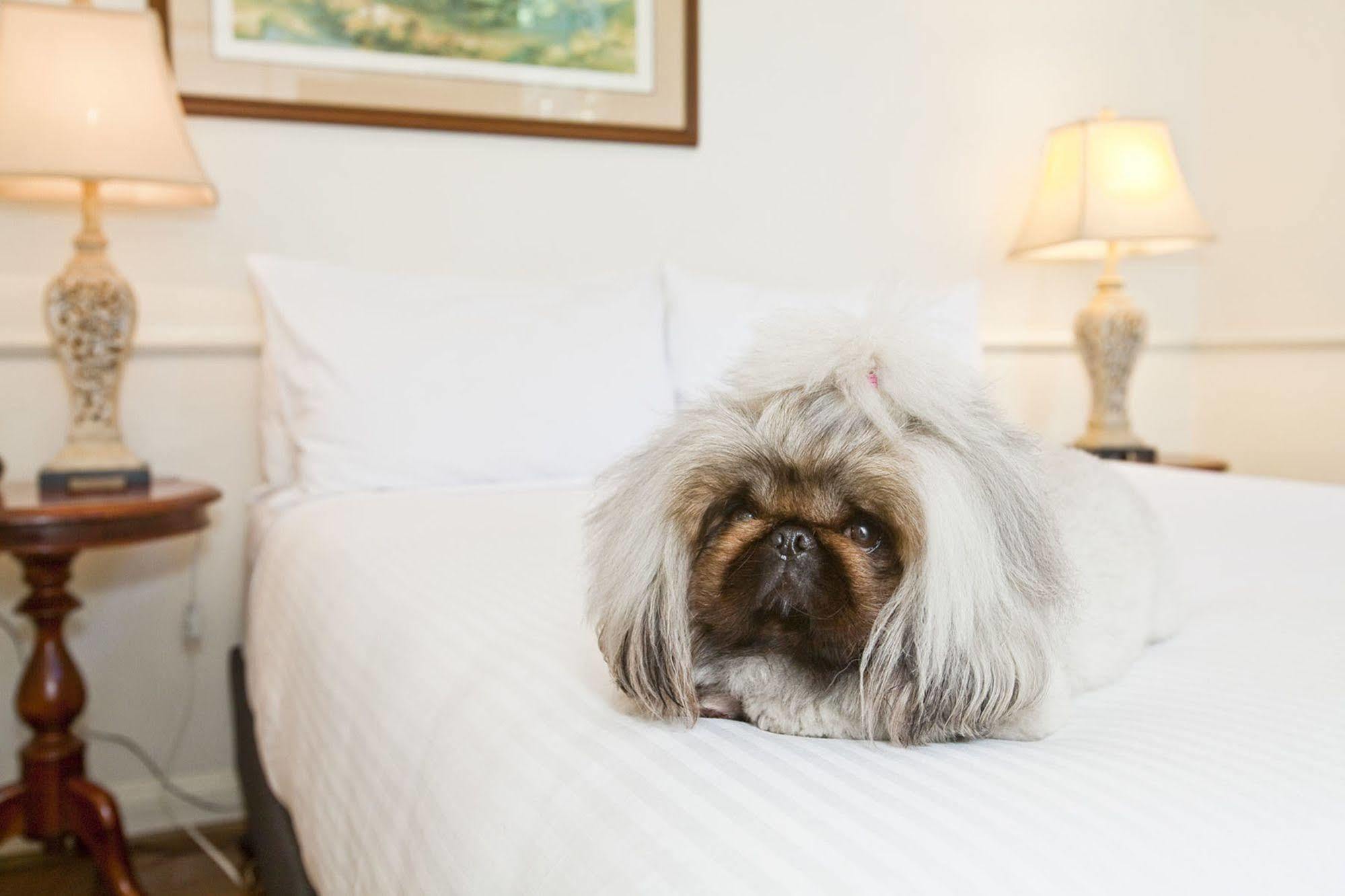 The Hughenden Boutique 4* Sydney