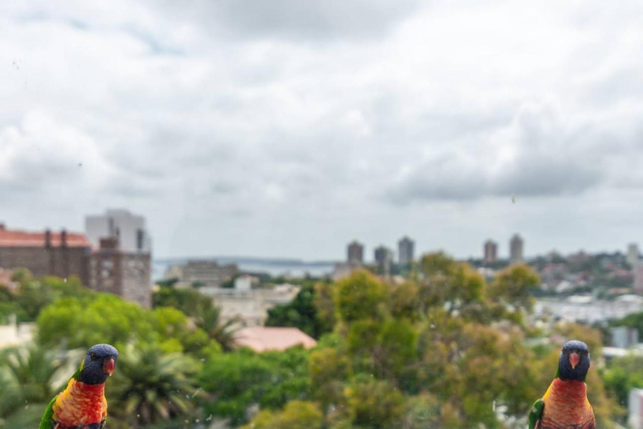Studio With Stunning Views & Free Parking Apartment Sydney