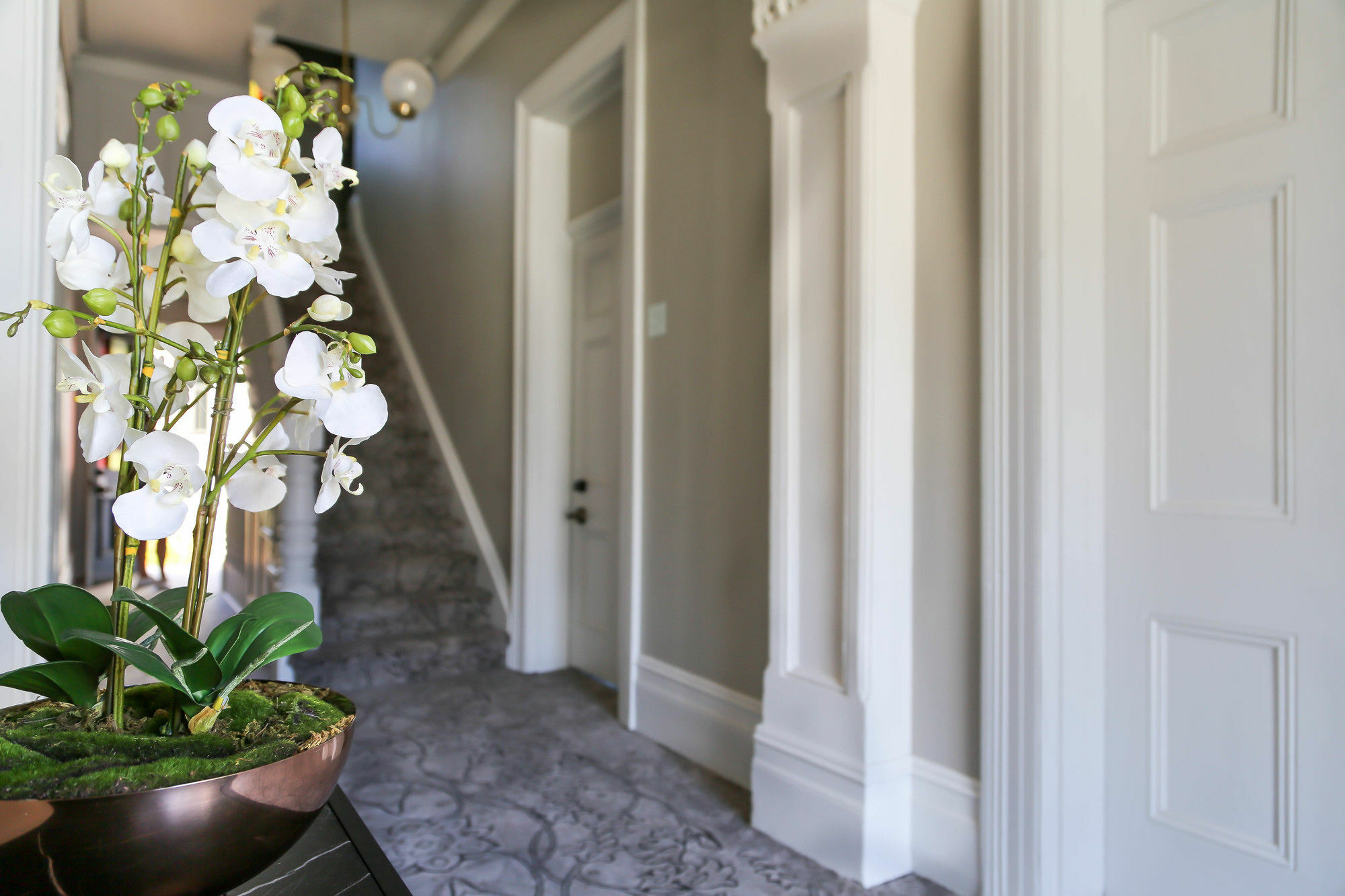 The Lurline Randwick Hotel