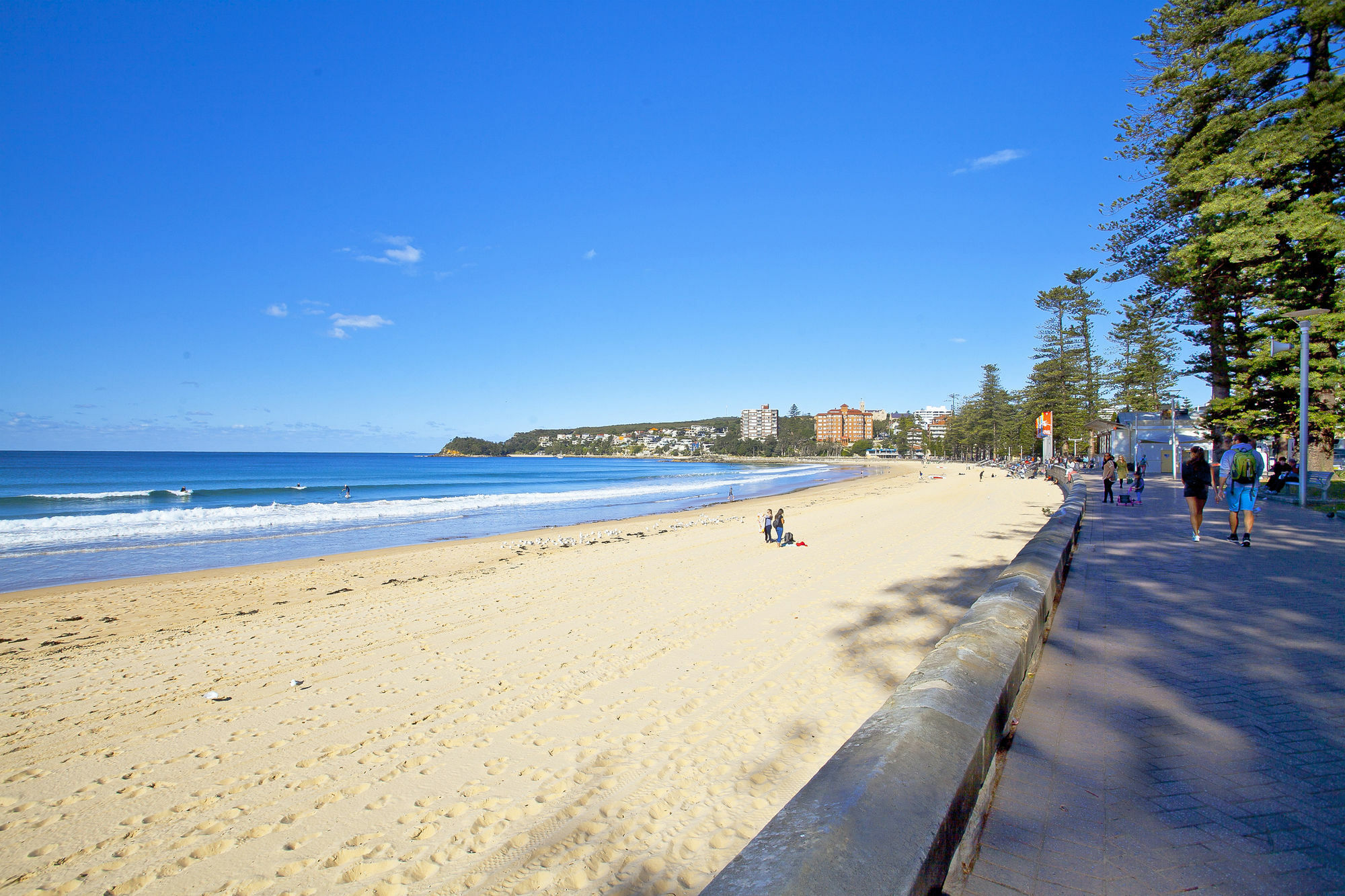 Manly Paradise & 3*
