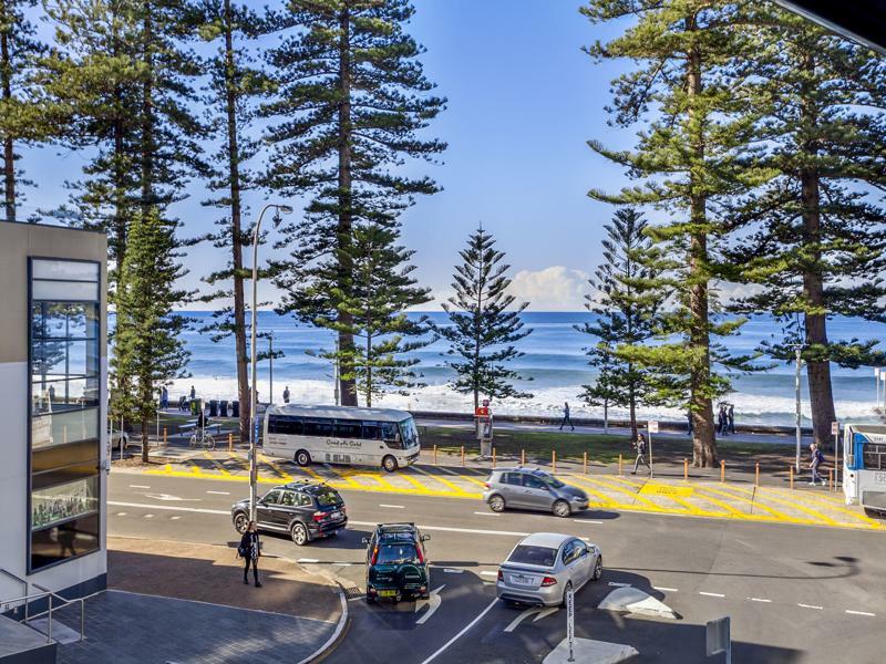 Manly Paradise &