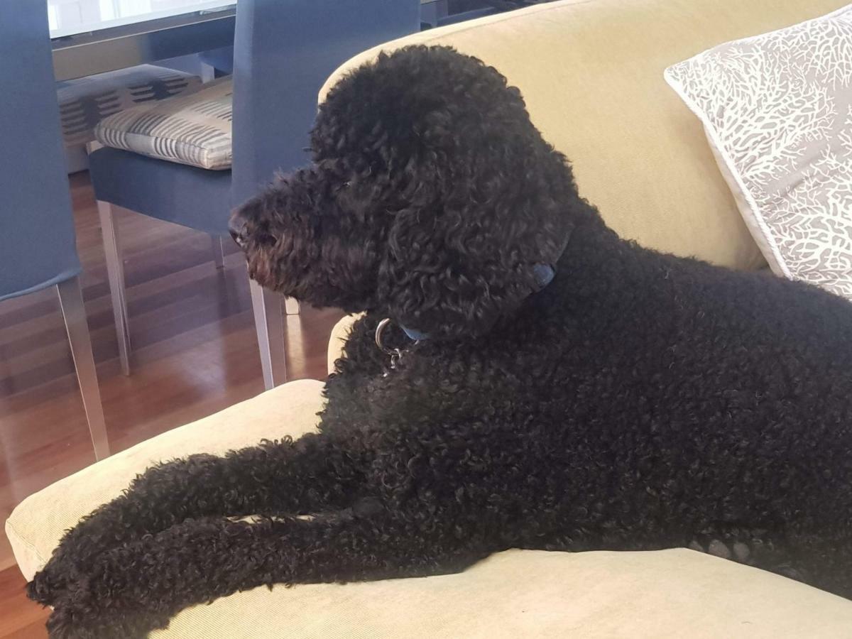Homestay Private - Luxury Mosman Sydney