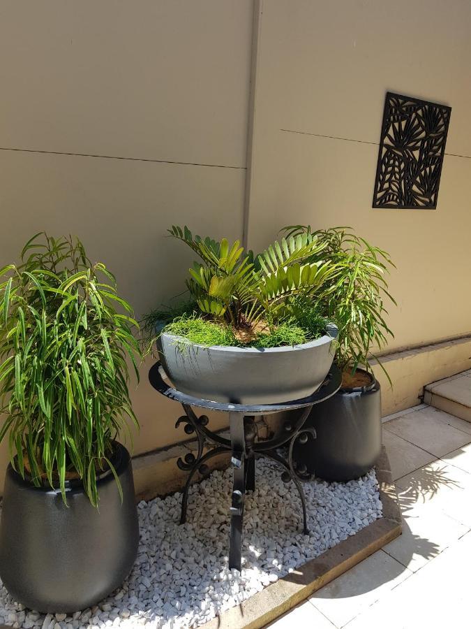 Private - Luxury Mosman Homestay Sydney