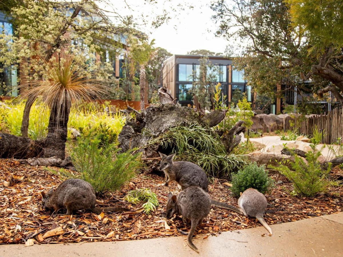 Wildlife Retreat At Taronga Hotel 4*