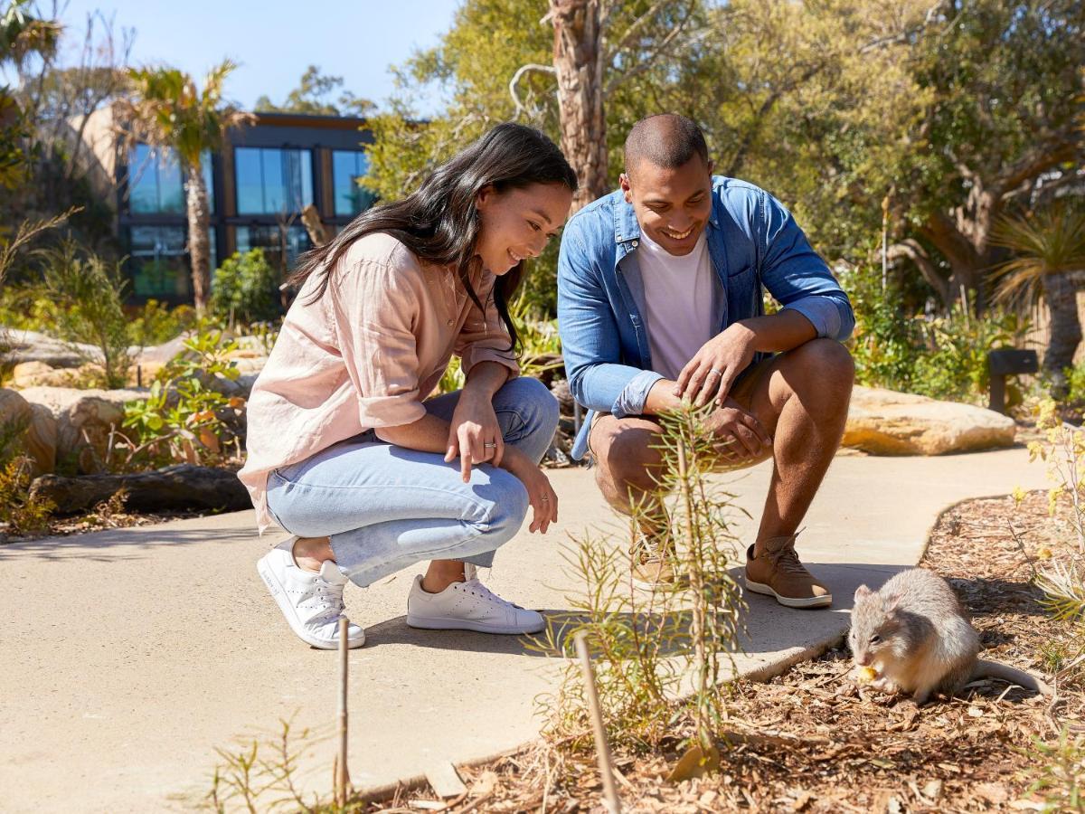 Wildlife Retreat At Taronga Hotel 4*