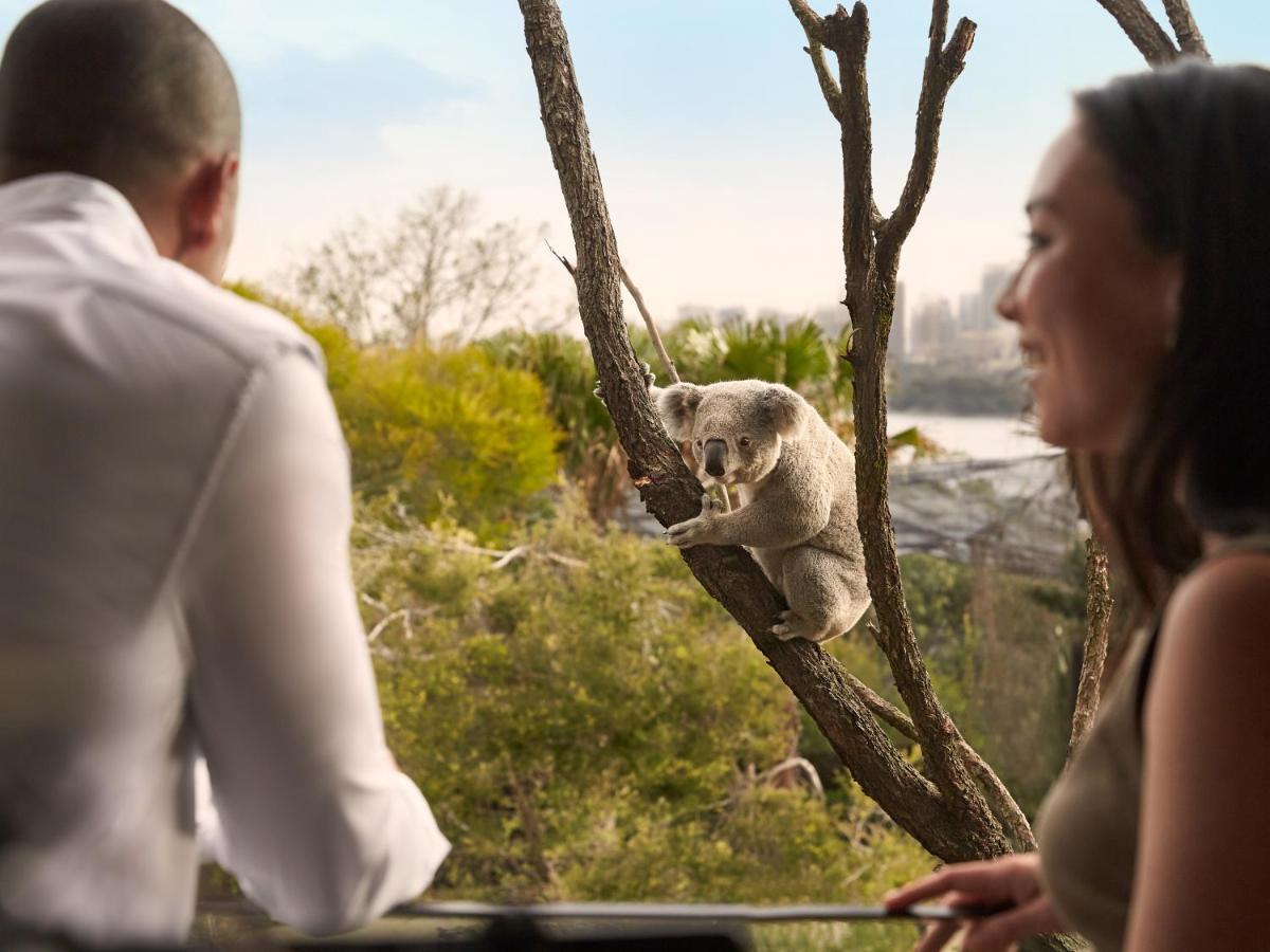 Wildlife Retreat At Taronga Hotel