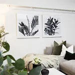 Woollahra Contemporary