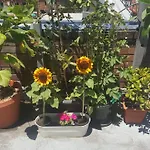 Orange Grove Hotel
