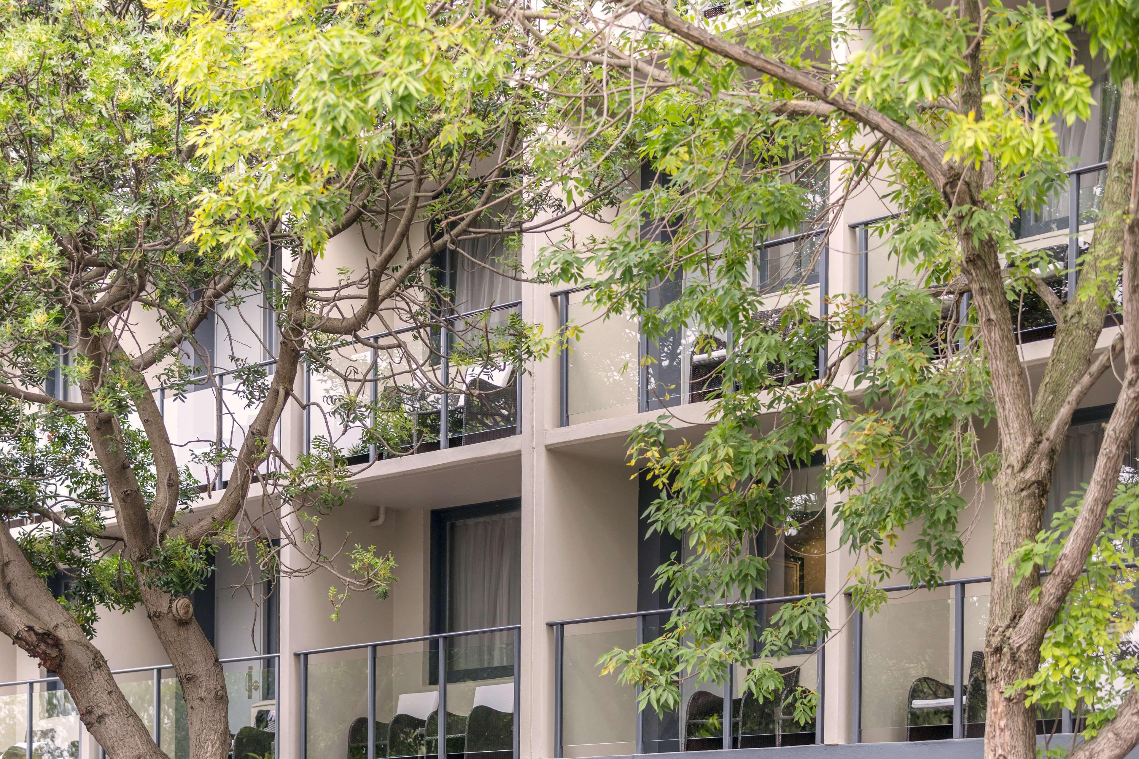 Haven Glebe Sydney