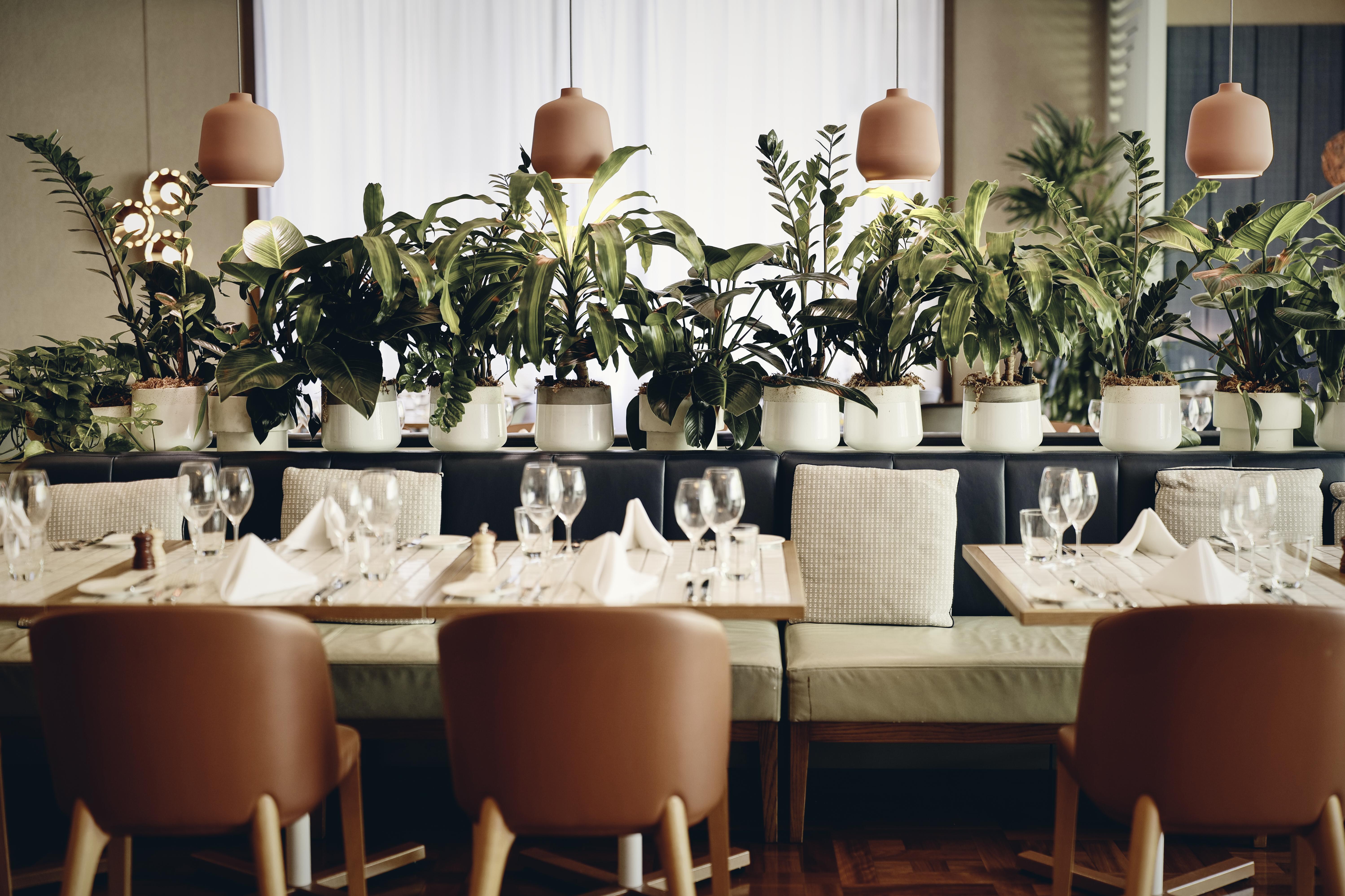 Hotel Amora Jamison 5*
