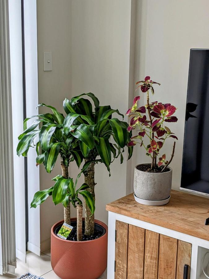 Shared Bright And Cozy In Parramatta Cbd - Close To Everything Homestay *