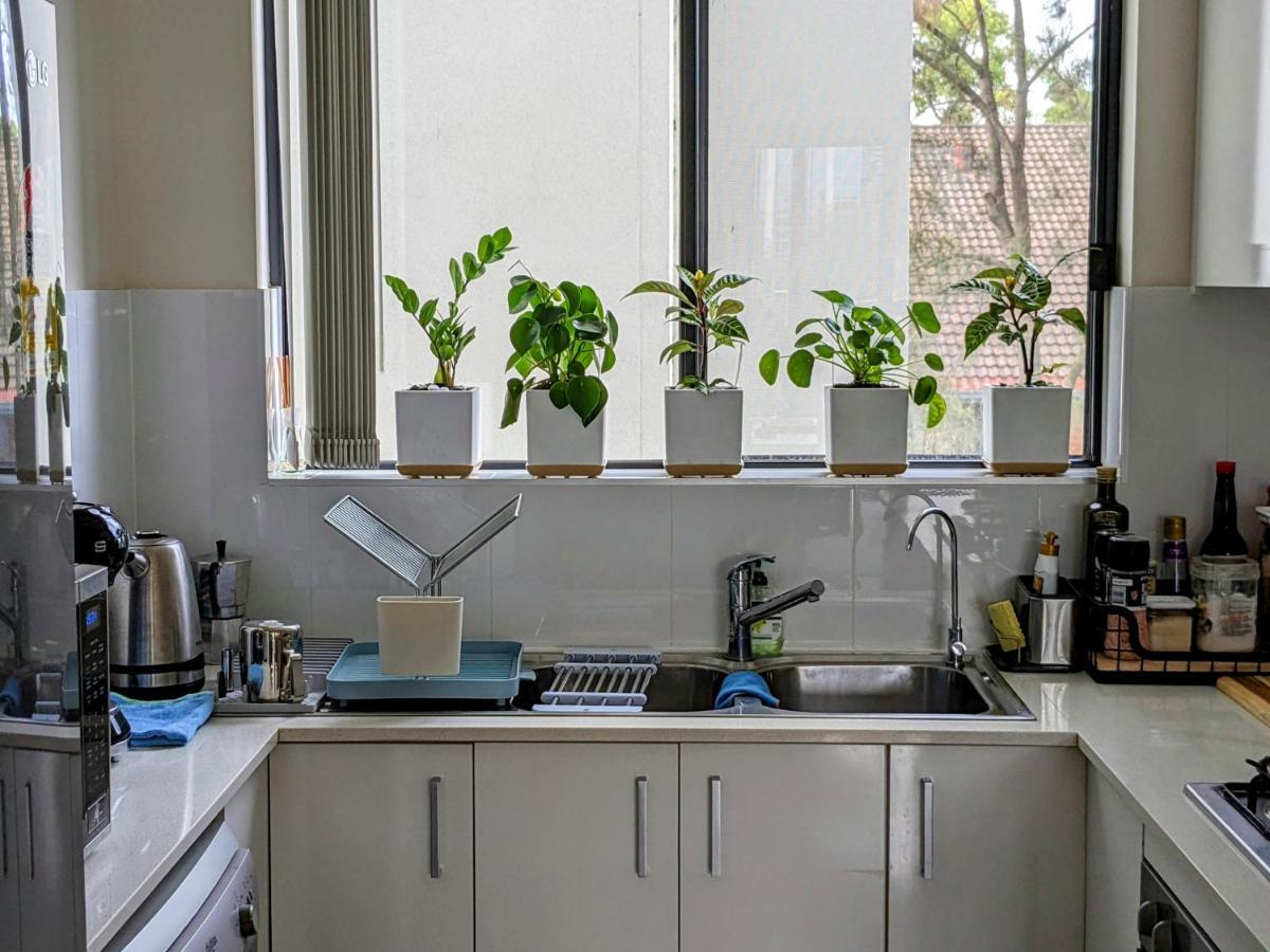 Shared Bright And Cozy In Parramatta Cbd - Close To Everything Homestay Sydney