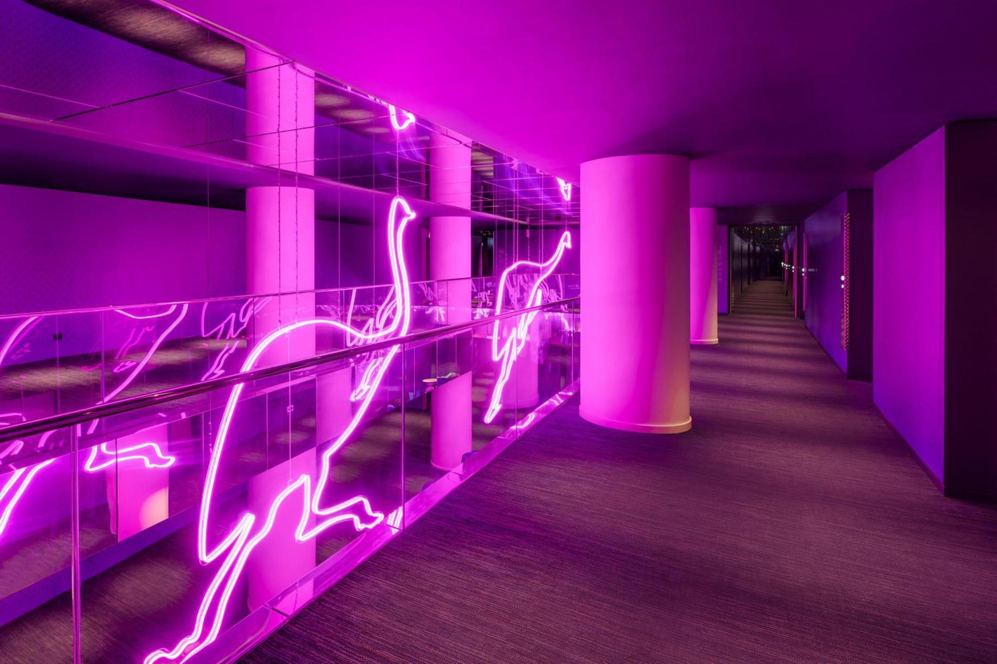 W Hotel 5*